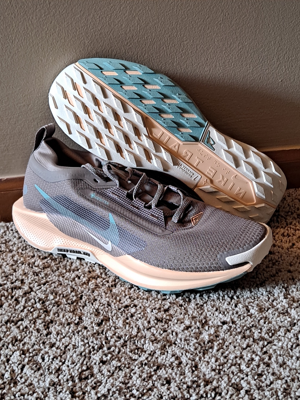 Nike Pegasus Trail 5 GORE-TEX Mink Brown Women's Size 10